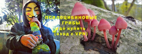 твердый Алзамай
