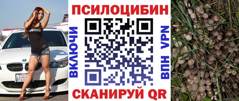 Псилоцибиновые грибы Cubensis  Курлово 